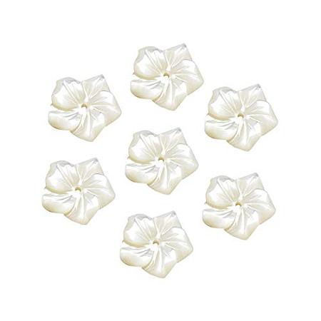 ARRICRAFT 20 pcs Flower Natural Shell Beads for Earring Bracelet Necklace Jewelry Making， White