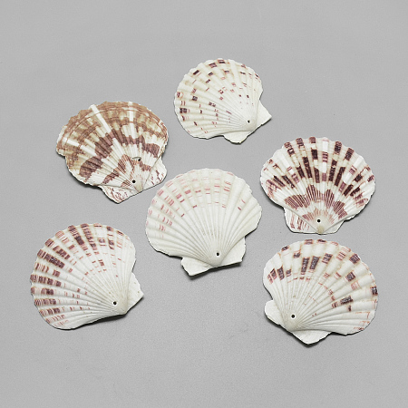 Sea Shell Big Pendants, Saddle Brown, 45~62x48~66x4~8mm, Hole: 1.5mm; about 75pcs/500g