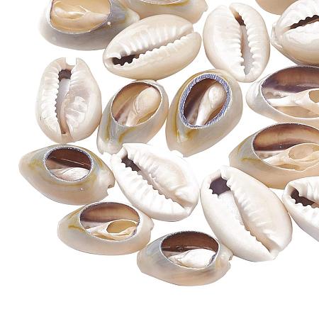Arricraft About 1100pcs Shell Beads Cowrie Shells Natural Seashells for Waikiki Hawaii Anklet Bracelet, Craft Making, Home Decoration, Beach Party