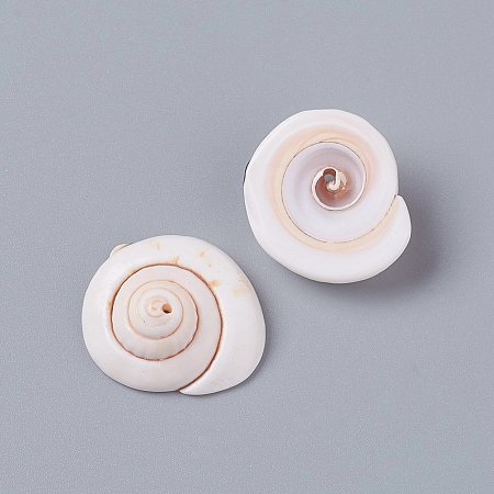 Honeyhandy Natural Shiva Eye Shell Beads, Shell Shape, Seashell Color, 20~23x18~19x8~10mm, Hole: 1.2mm