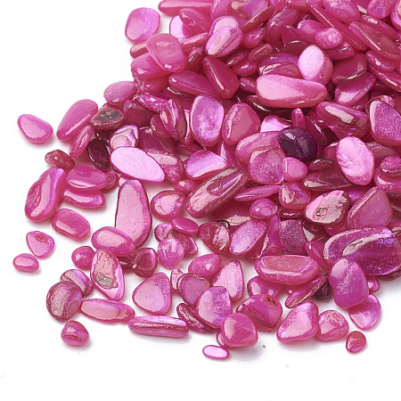 Nbeads Shell Beads, No Hole Beads, Dyed, Chip, DeepPink, 1~15x1~15x0.5~5mm