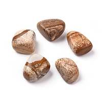 Honeyhandy Natural Picture Jasper Beads, Tumbled Stone, Vase Filler Gems, No Hole/Undrilled, Nuggets, 20~35x13~23x8~22mm