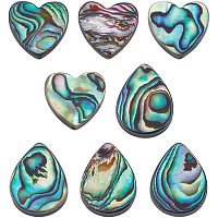 BENECREAT 8pcs Natural Heart Abalone Shell Beads Paua Shell Beads Abalone Drop Shell Beads with Storage Containers for DIY Jewelry Making