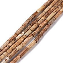 Honeyhandy Natural Picture Jasper Beads Strands, Column, 13x4mm, Hole: 1.4mm, about 28pcs/strand, 15.18~15.39 inch(38.55~39.1cm)