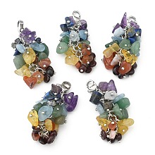 Honeyhandy Natural Chip Gemstone Pendant Decorations, with Brass Lobster Claw Clasps, Platinum, Mixed Color, 50x15mm