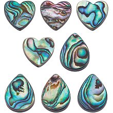 BENECREAT 8pcs Natural Heart Abalone Shell Beads Paua Shell Beads Abalone Drop Shell Beads with Storage Containers for DIY Jewelry Making