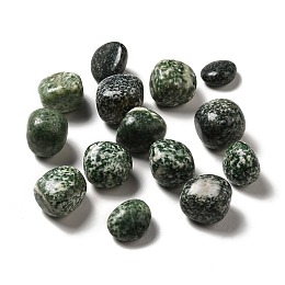 Honeyhandy Natural Green Spot Jasper Beads, Tumbled Stone, Vase Filler Gems, No Hole/Undrilled, Nuggets, 17~30x15~27x8~22mm