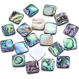 Natural Abalone Shell/Paua Shell Cabochons, with Freshwater Shell, Square, Colorful, 10x10x3mm; 20pcs/box