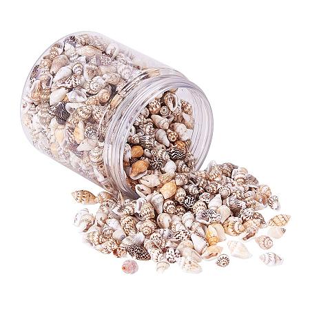 PH PandaHall 200g 2 Styles Tiny Sea Shell Ocean Beach Spiral Seashells Craft Charms for Candle Making Home Decoration Beach Theme Party Wedding Decor Fish Tank and Vase Filler(1mm/1.2mm Hole)