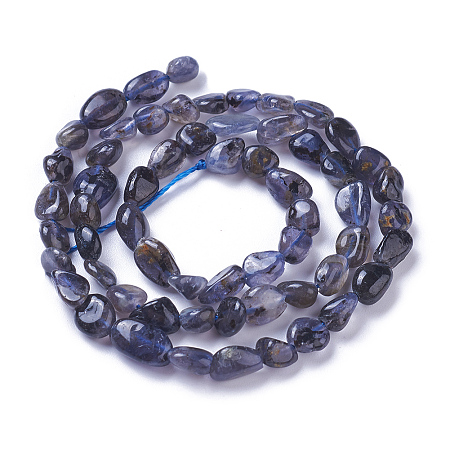 Honeyhandy Natural Iolite Beads Strands, Tumbled Stone, Nuggets, 4~9x4~8mm, Hole: 1mm, about 58~60pcs/strand, 15.7 inch~16.1 inch(40~41cm)