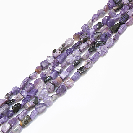 Honeyhandy Natural Charoite Beads Strands, Nuggets, 4~15x4~8x3~7mm, Hole: 1mm, about 40~70pcs/strand, 15.7 inch