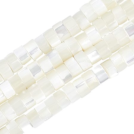 NBEADS 352 Pcs Natural Trochid Column Shell Beads White, Trochus Shell Column Spacer Beads, Shell Loose Beads for Jewelry Making Bracelets Necklaces Earrings