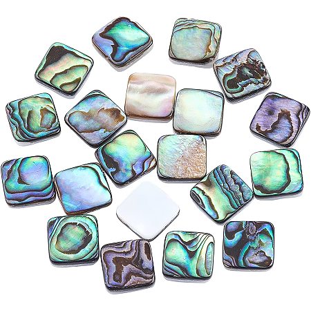 Natural Abalone Shell/Paua Shell Cabochons, with Freshwater Shell, Square, Colorful, 10x10x3mm; 20pcs/box