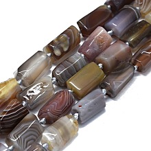 Honeyhandy Natural Botswana Agate Beads Strands, Nuggets, 12~14x7~8mm, Hole: 0.7mm, about 29pcs/strand, 16.73''(42.5cm)