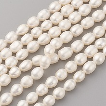 Honeyhandy Grade AA Natural Cultured Freshwater Pearl Beads Strands, Oval, Old Lace, 9~10x7~8mm, Hole: 0.5mm, about 40~41pcs/strand, 14.9 inch(38cm)