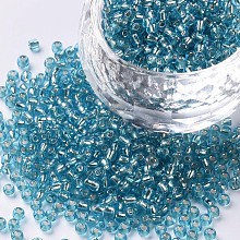 Honeyhandy 12/0 Glass Seed Beads, Silver Lined Round Hole, Round, Pale Turquoise, 2mm, Hole: 1mm, about 30000 beads/pound