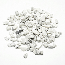 Honeyhandy Natural Howlite Beads, No Hole/Undrilled, Chip, 5~20x5~10x3~10mm, about 42pcs/50g