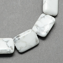 Honeyhandy Natural Howlite Beads Strands, Rectangle, White, 18x13x6mm, Hole: 1mm, about 22pcs/strand, 15.7 inch