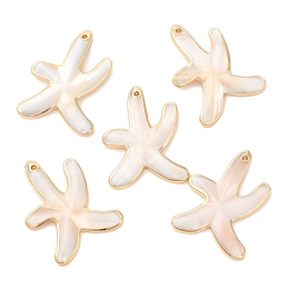 Honeyhandy Natural Freshwater Shell Pendants, Golden Plated Brass Edged Starfish Charms, 37.5x28.5x4mm, Hole: 1.5mm