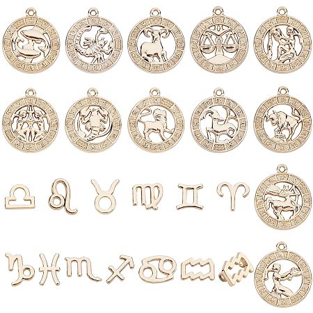 Arricraft 24 Pcs Zodiac Charms Set, Round Zodiac Sign Charms 12 Zodiac Symbol Charm Pendant for Bracelet Necklace Earrings Jewelry Making Supplies