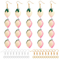 NBEADS 10 Pairs Earring Making Kits, 20 Pcs Peach Resin Pendants Dangle Earring Making Kits with Brass Earring Hooks and Jump Rings for DIY Earring Makings
