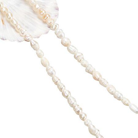 Nbeads 1 Strand Grade A Natural Cultured Freshwater Pearl Beads Strands, Rice, White, 4~7.5x3~4mm, Hole: 0.6mm, about 65~72pcs/strand, 14.45 inch~14.65 inch(36.7cm~37.2cm)