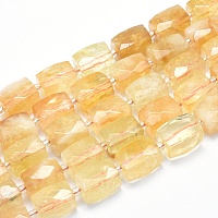 Arricraft Natural Citrine Beads Strands, Faceted, Cuboid, 15~16x11~12x11~12mm, Hole: 1.5mm, about 20~22pcs/strand, 15.3~15.7 inches(39~40cm)