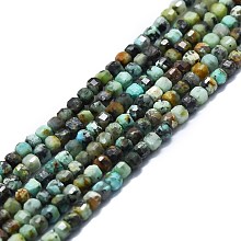 Honeyhandy Natural African Turquoise(Jasper) Beads Strands, Faceted, Cube, 2x2x2mm, Hole: 0.6mm, about 182pcs/strand, 15.16''~15.55''(38.5~39.5cm)