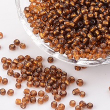 Pandahall Elite 10000 pcs 8/0 Glass Seed Beads, 3mm Round Pony Bead Mini Spacer Beads Waist Beads for Earring Bracelet Pendants Jewelry DIY Craft Making, Brown