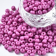 Honeyhandy 6/0 Glass Seed Beads, Baking Paint, Round Hole, Round, Orchid, 4~5x3~5mm, Hole: 1.2~1.5mm, about 4500pcs/Pound