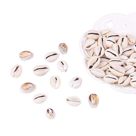 ARRICRAFT About 50 Pcs Tiny Cowrie Sea Shells Oval Ocean Beach Spiral Seashells Craft Charms Length 18-20mm for Candle Making, Home Decoration, Party Wedding Decor, Fish Tank Vase Filler