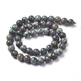 Arricraft Natural African Turquoise(Jasper) Beads Strands, Round, Medium Turquoise, 8mm, Hole: 1mm, about 47pcs/strand, 15.3 inches