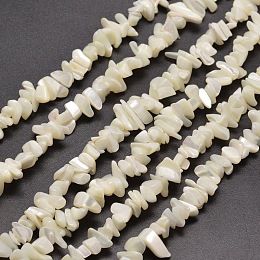 Honeyhandy Natural White Mother of Pearl Shell Chip Bead Strands, Shell Shards, 5~15x5~8mm , Hole: 1mm, about 31.5 inch