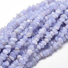 Honeyhandy Natural Blue Lace Agate Chip Beads Strands, 5~14x4~10mm, Hole: 1mm, about 15.5 inch~16.1 inch