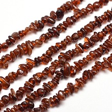 Honeyhandy Natural Garnet Chip Bead Strands, Dyed, 5~8x5~8mm, Hole: 1mm, about 31.5 inch