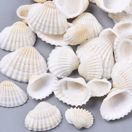 ARRICRAFT Natural Shell Beads, Undrilled/No Hole Beads, Seashell Color, 12~27x15~35x5~12mm