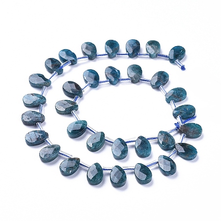 ARRICRAFT Natural Apatite Beads Strands, Top Drilled Beads, Faceted, Teardrop, 12~13x8.5x3~4mm, Hole: 0.6mm, about 32pcs/Strand, 15.55 inches(39.5cm)