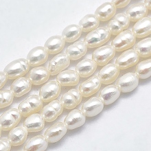 Honeyhandy Grade AAA Natural Cultured Freshwater Pearl Beads Strands, Oval, Beige, 3.5~6x3~4.5mm, Hole: 0.8mm, about 68~70pcs/strand, 13.78~14.17 inch(35~36cm)