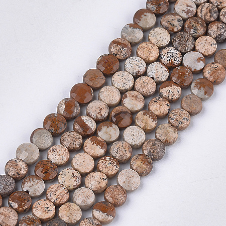 Arricraft Natural Picture Jasper Beads Strands, Faceted, Flat Round, 6~6.5x3.5mm, Hole: 0.8mm, about 59~60pcs/strand, 14.9 inches~15.1 inches