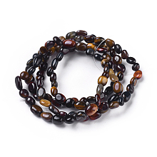 Honeyhandy Natural Tiger Eye Bead Stretch Bracelets, Tumbled Stone, Nuggets, Inner Diameter: 2~2-1/4 inch(5.2~5.6cm)