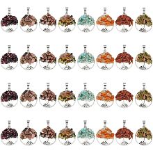 SUPERFINDINGS 32Pcs 8 Style Tree of Life Gemstone Pendants Flat Round Pendant Natural Chakra Necklace Charm Healing Stone Earring Charm for DIY Jewelry Bracelet Craftsmanship Gift