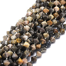 Honeyhandy Natural Black Moonstone Beads Strands, Faceted, Bicone, 8x8mm, Hole: 1mm, about 40pcs/strand, 15.24''(38.7cm)