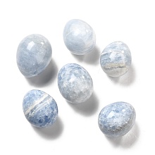 Natural Celestite Home Display Decorations, Egg Shape, 42~44x34~37mm