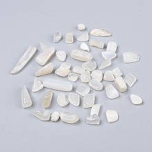 Honeyhandy Natural Moonstone Beads, No Hole/Undrilled, Chip, 7~18x4~6x2~5mm, about 1388pcs/500g