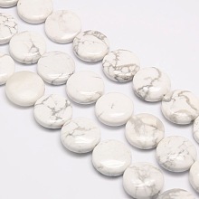 Honeyhandy Natural Flat Round Crackle Howlite Beads Strands, 20x7~9mm, Hole: 1mm, about 20pcs/strand, 15.74 inch