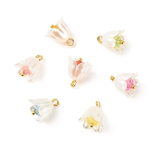 Honeyhandy Spray Painted ABS Plastic Imitation Pearl Charms, with Transparent Acrylic Round Beads and Golden Tone Brass Findings, Flower, Mixed Color, 12.5~13x11mm, Hole: 2mm