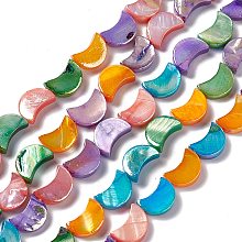 Natural Freshwater Shell Beads Strands, Dyed, Moon, Colorful, 10x7.5x3mm, Hole: 0.6mm, about 32pcs/strand, 12.80 inch(32.5cm)