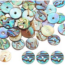 AHANDMAKER 40 Pieces Natural Abalone Shell Beads, 10mm Flat Round Coin Beads, Shell Charm for Jewelry Making and DIY Craft Decoration, Hole: 1mm