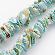 Honeyhandy Natural Shell Bead Strands, Dyed, Nuggets, Sky Blue, 10~20x8~12x3~6mm, Hole: 1mm, about 15.7 inch