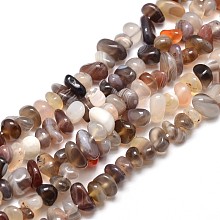 Honeyhandy Natural Botswana Agate Chip Beads Strands, 4~14x4~12mm, Hole: 1mm, about 15.3 inch~16.1 inch